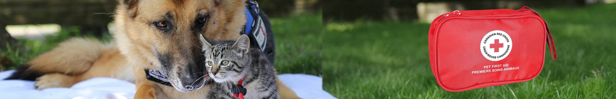 Pet First Aid Kits