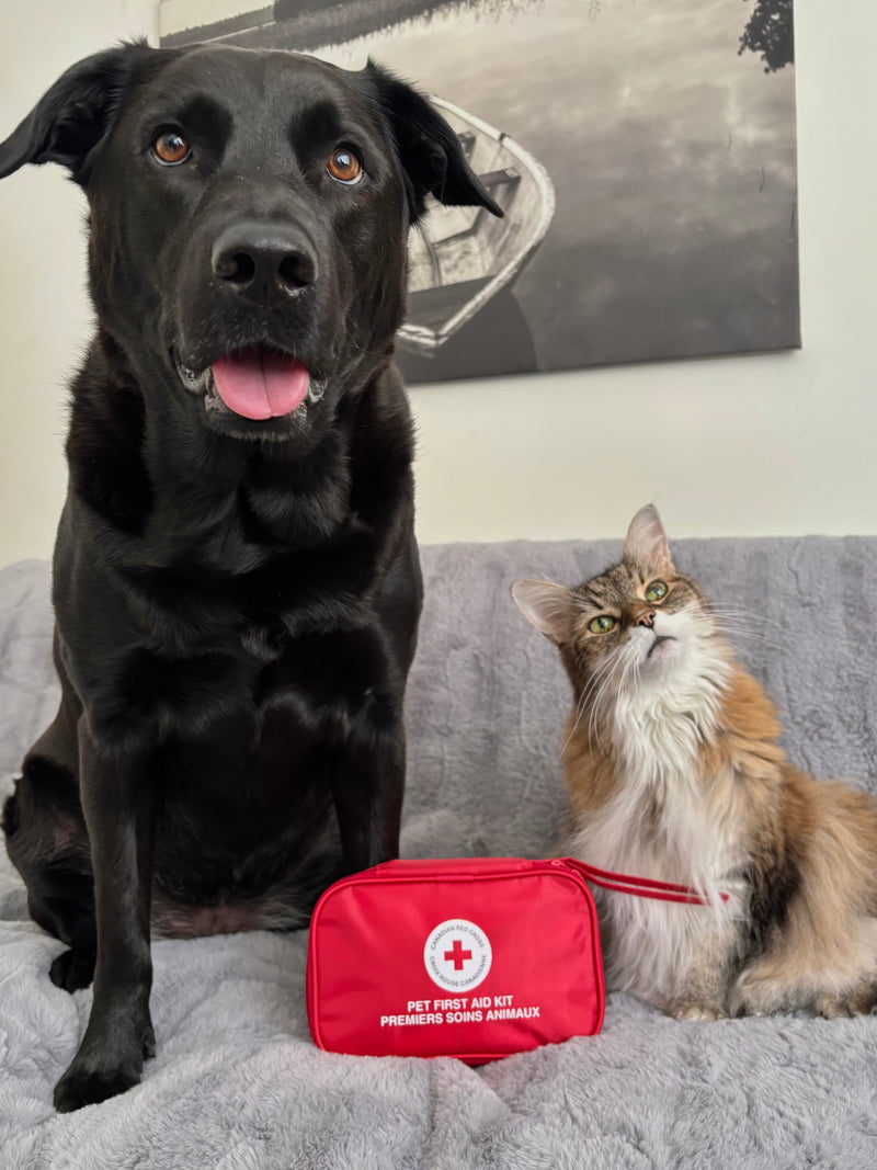 Pet First Aid Kit