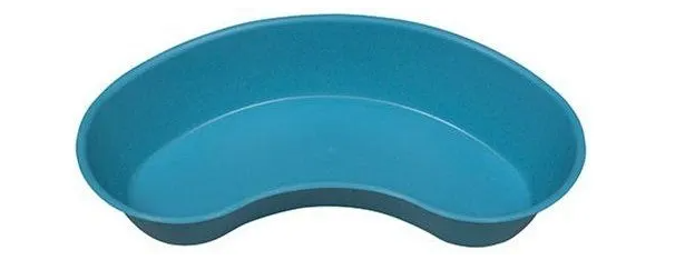 Emesis Basin - 9" - 500ml